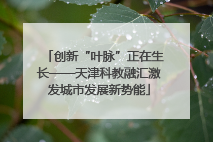 创新“叶脉”正在生长——天津科教融汇激发城市发展新势能